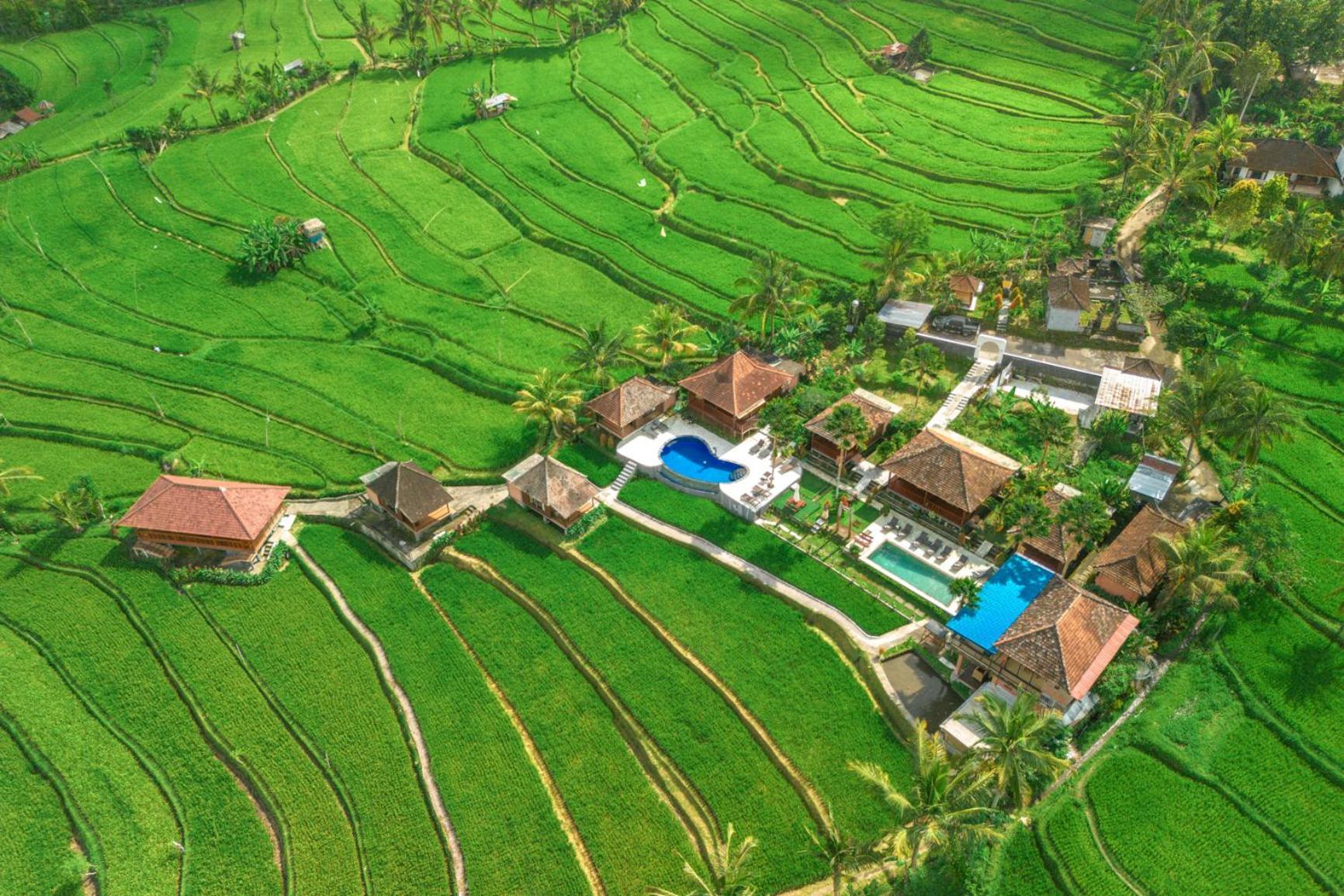 Villa Sande Munduk  Bagian luar foto