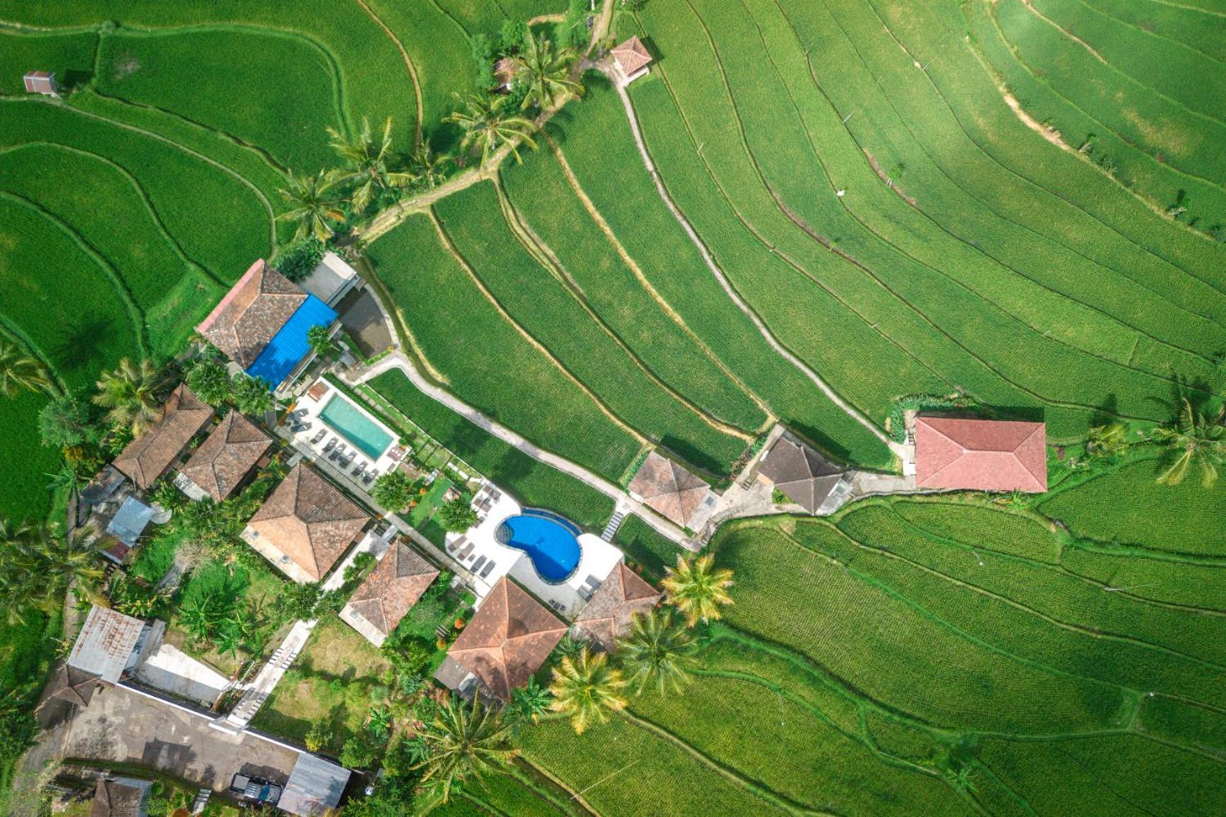 Villa Sande Munduk  Bagian luar foto