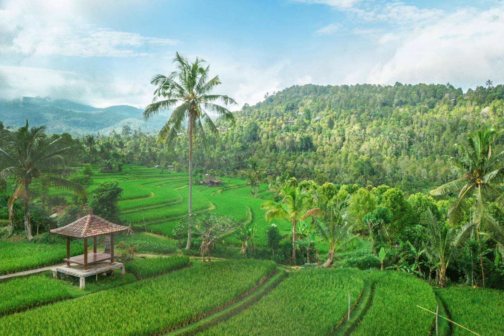 Villa Sande Munduk  Bagian luar foto
