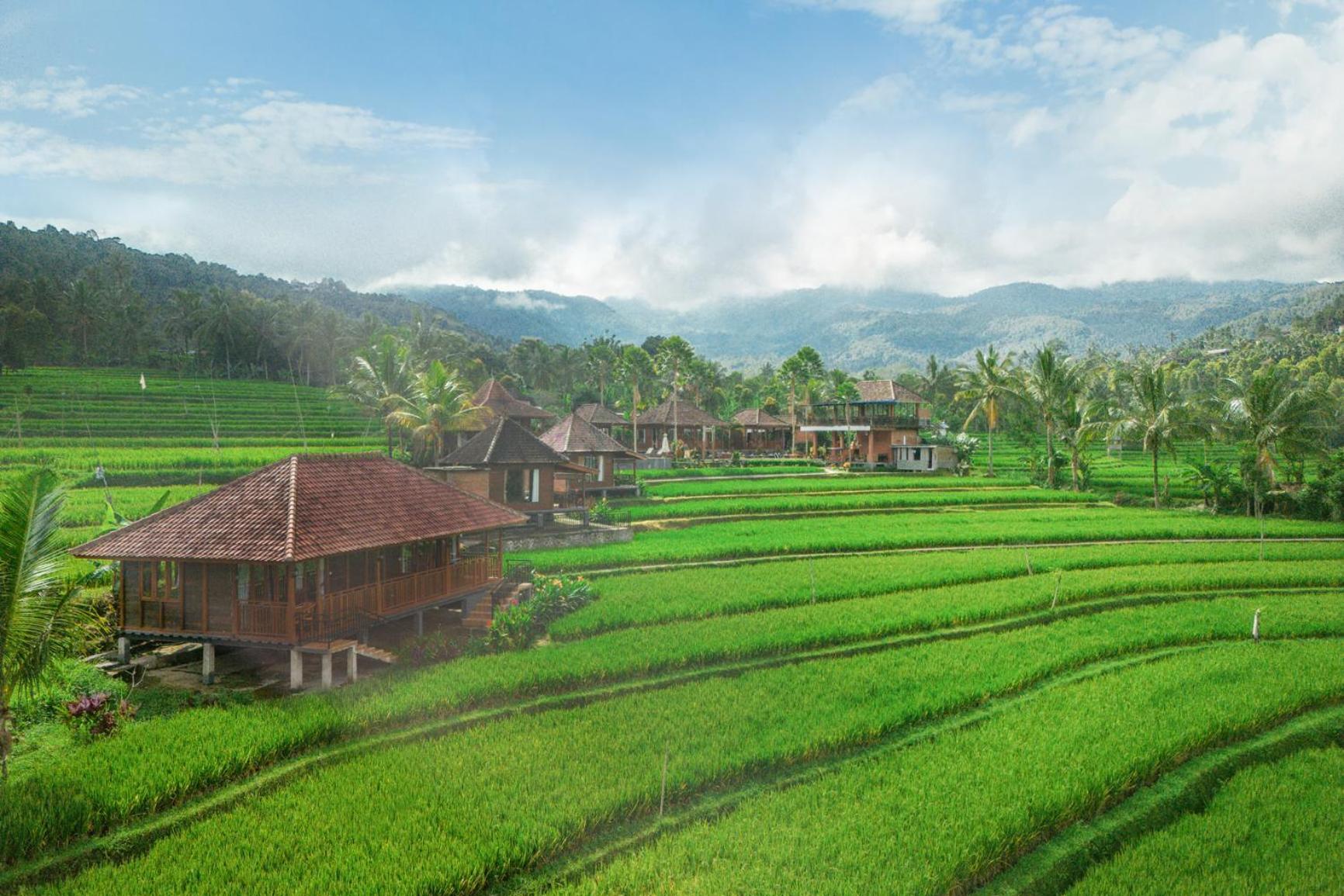 Villa Sande Munduk  Bagian luar foto
