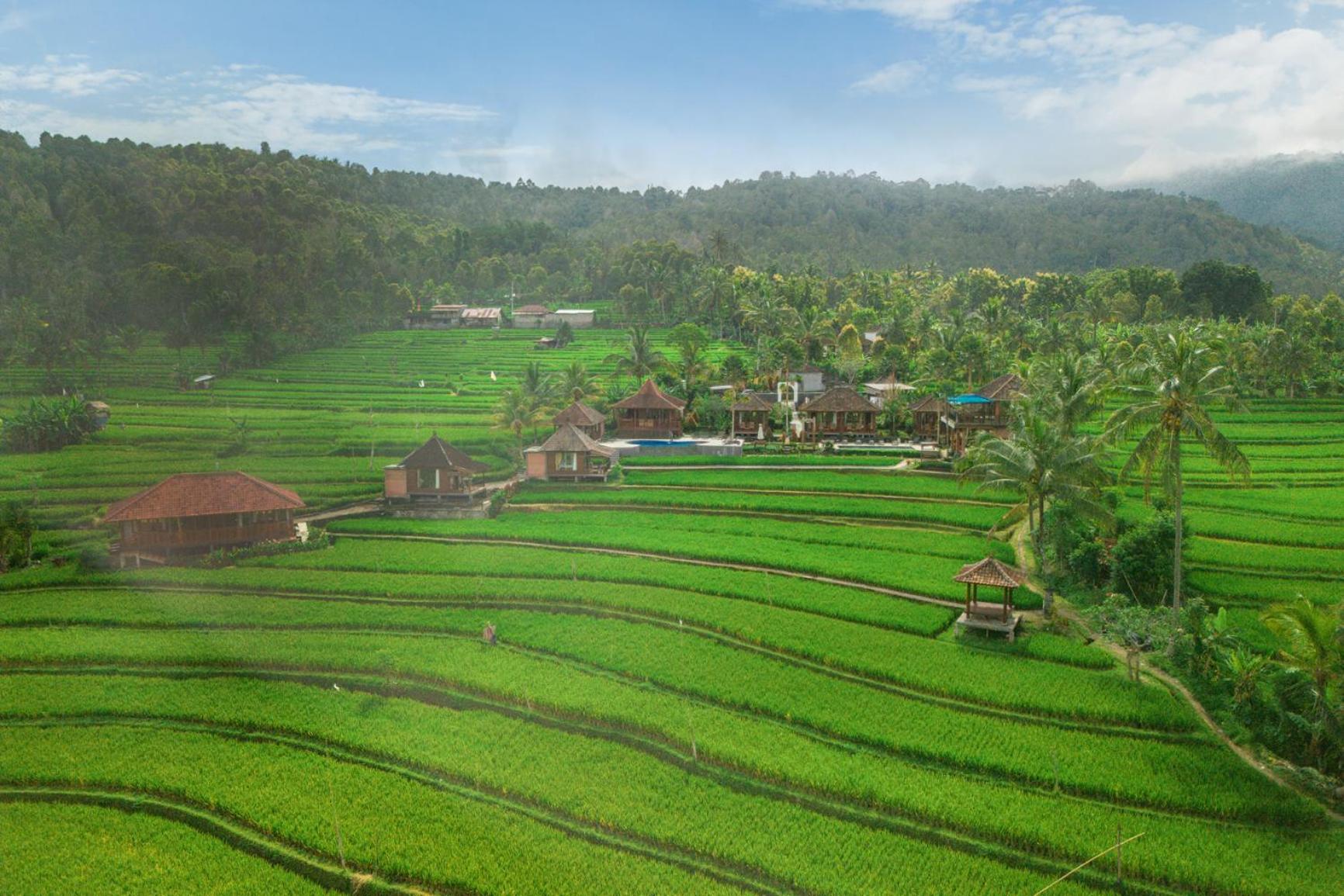 Villa Sande Munduk  Bagian luar foto