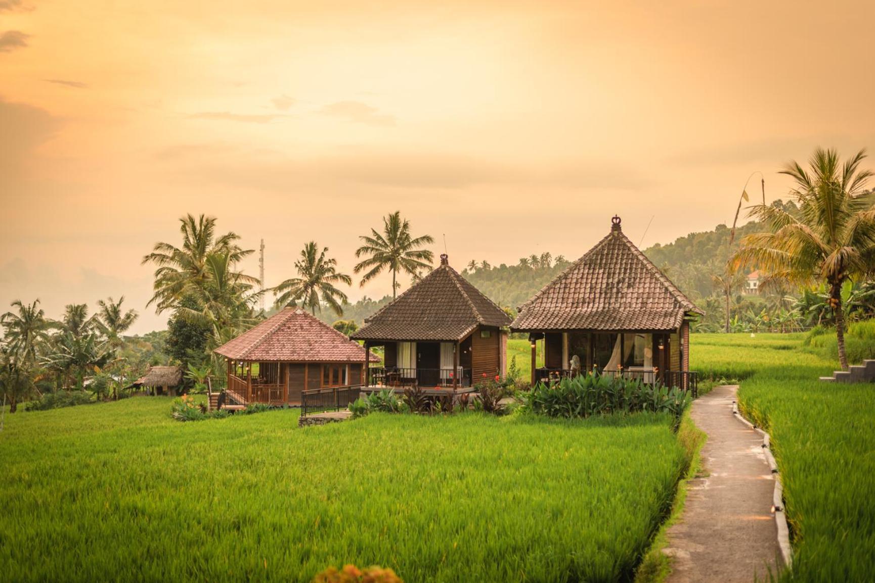 Villa Sande Munduk  Bagian luar foto